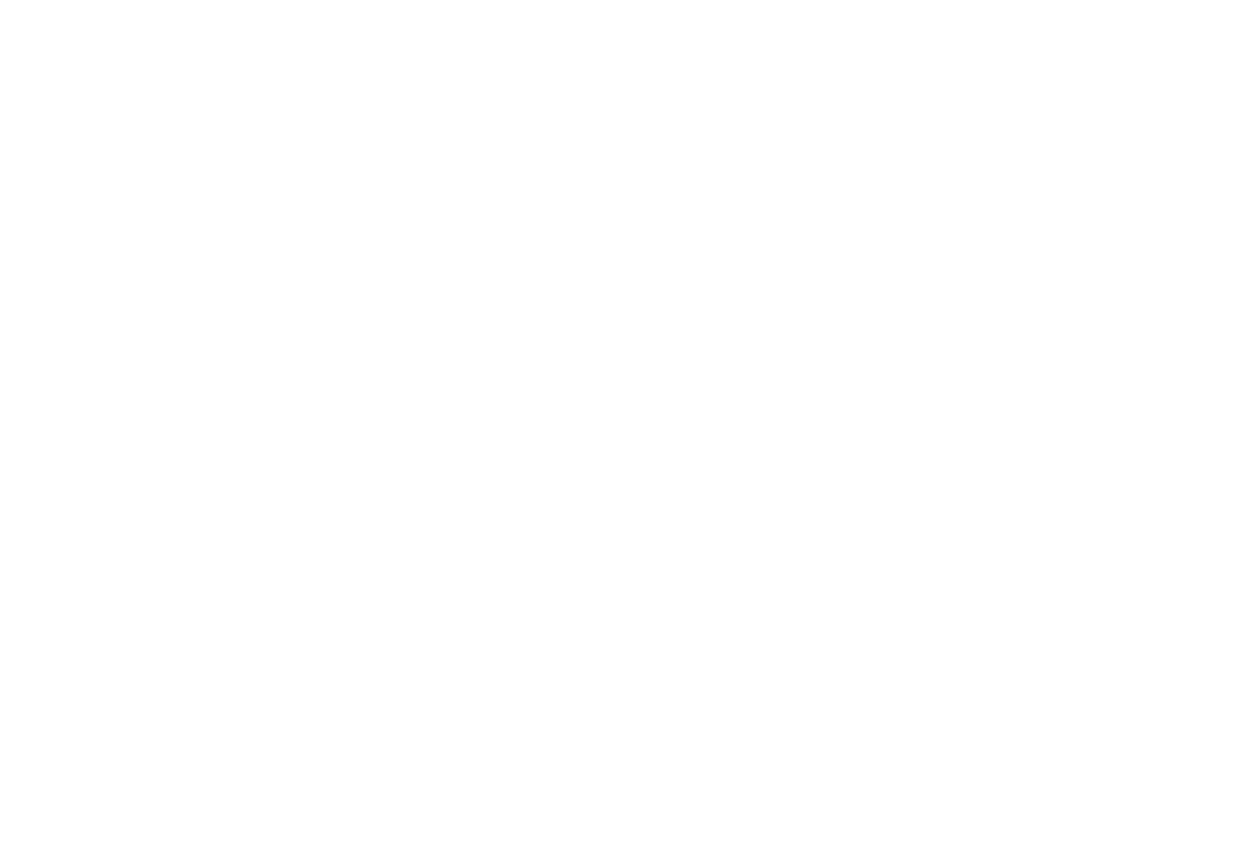 Language Lady